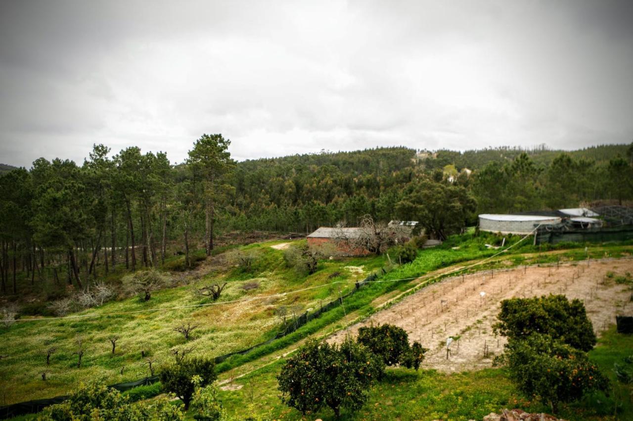 Quintinha Do Outeirinho Bed and Breakfast Soure Εξωτερικό φωτογραφία